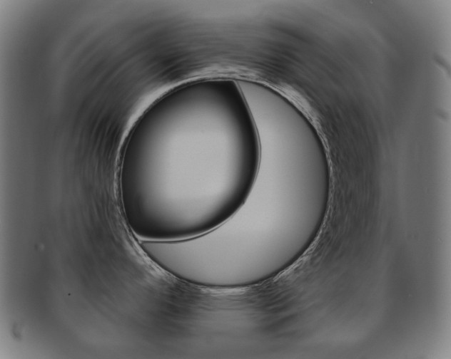 X0000091891296200709051037
