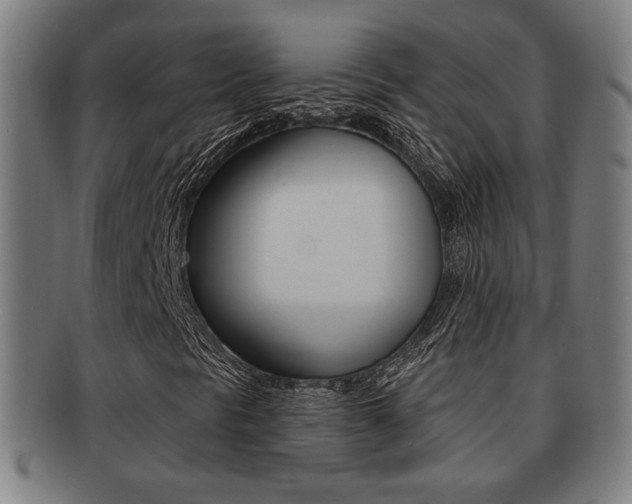 X0000091891297200709051037