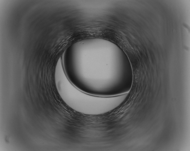 X0000091891298200709051037