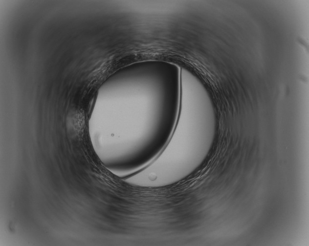 X0000091891299200709051037