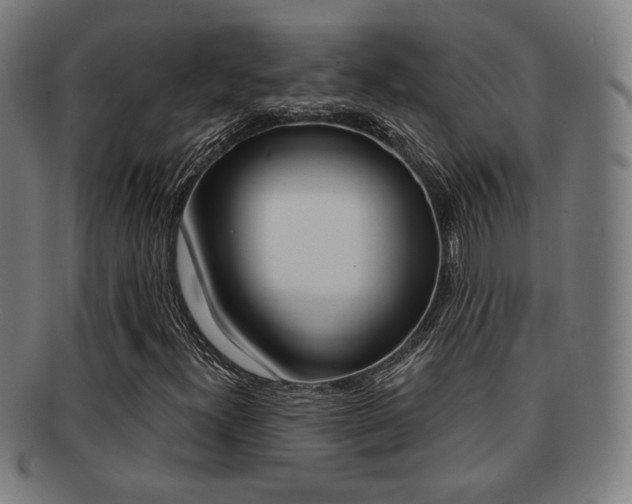 X0000091891300200709051037