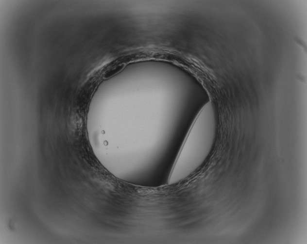X0000091891302200709051037