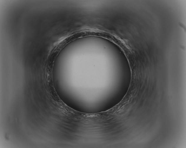 X0000091891303200709051037