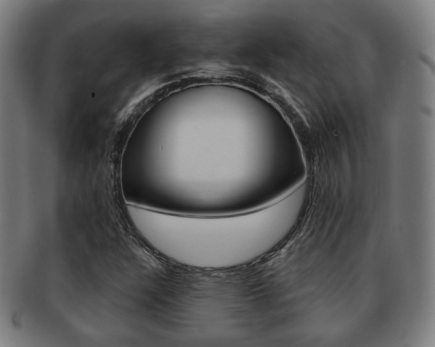 X0000091891304200709051037