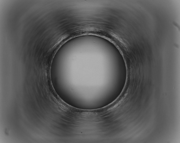 X0000091891305200709051037