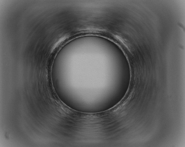 X0000091891307200709051037