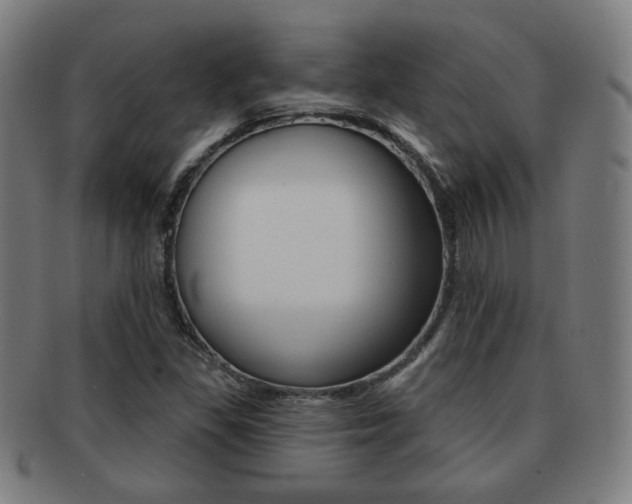 X0000091891309200709051037