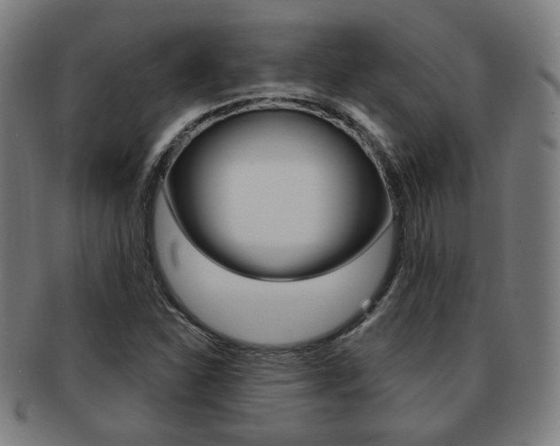 X0000091891310200709051037