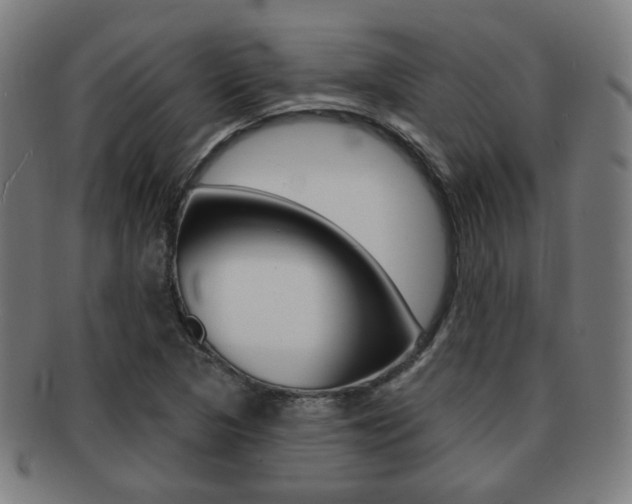 X0000091891313200709051037