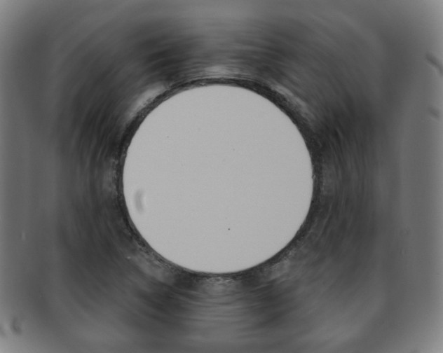 X0000091891314200709051037