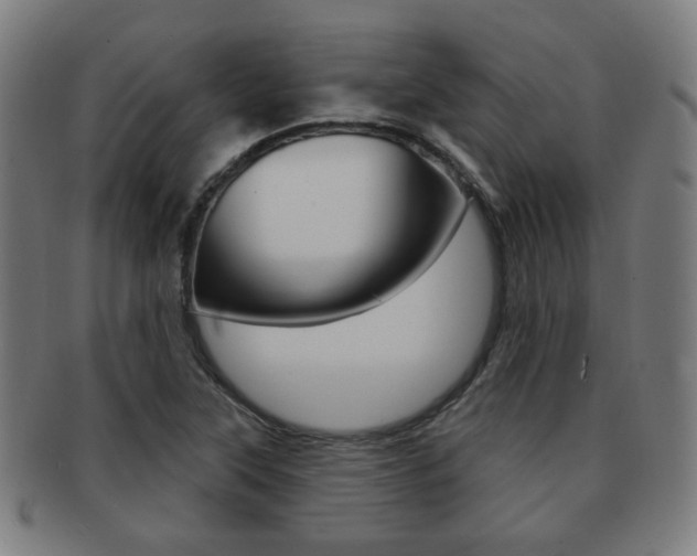 X0000091891315200709051037