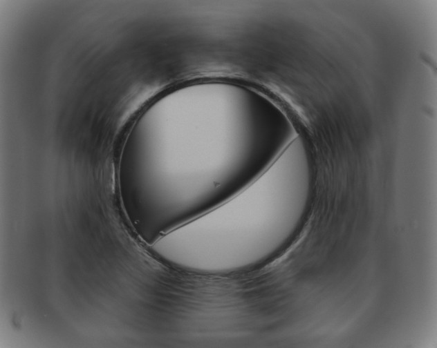 X0000091891317200709051037