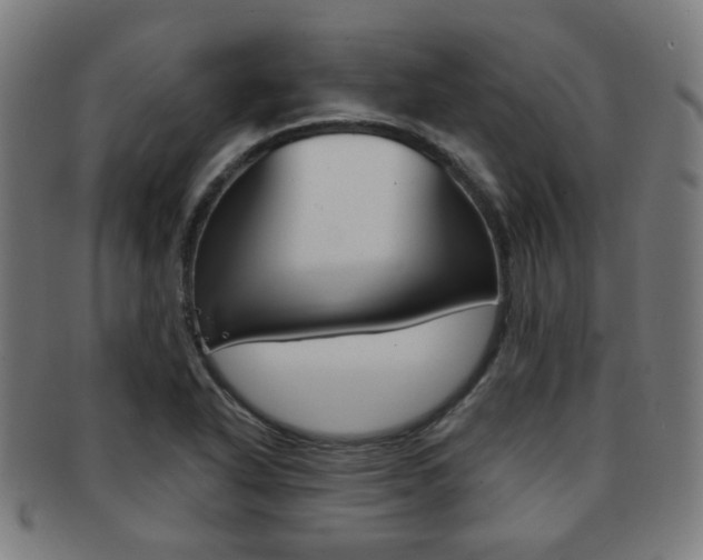 X0000091891318200709051037