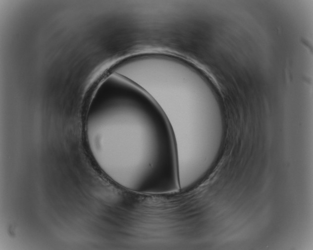 X0000091891319200709051037