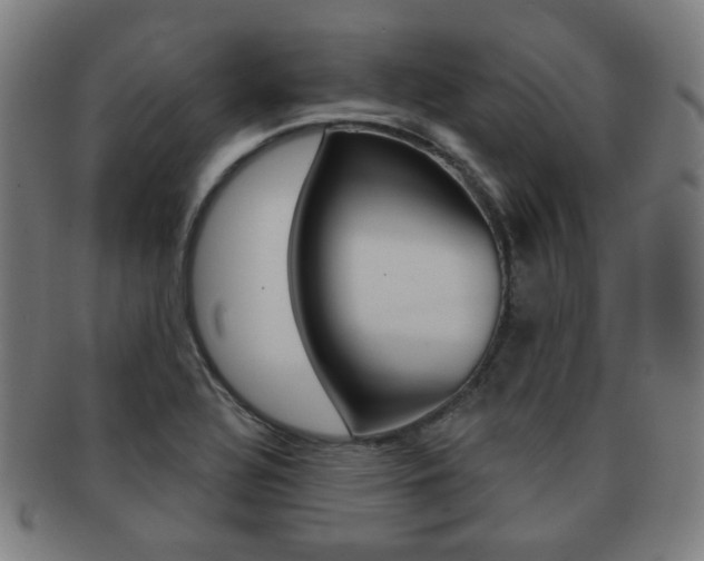 X0000091891320200709051037