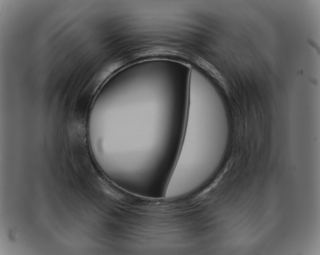 X0000091891321200709051037