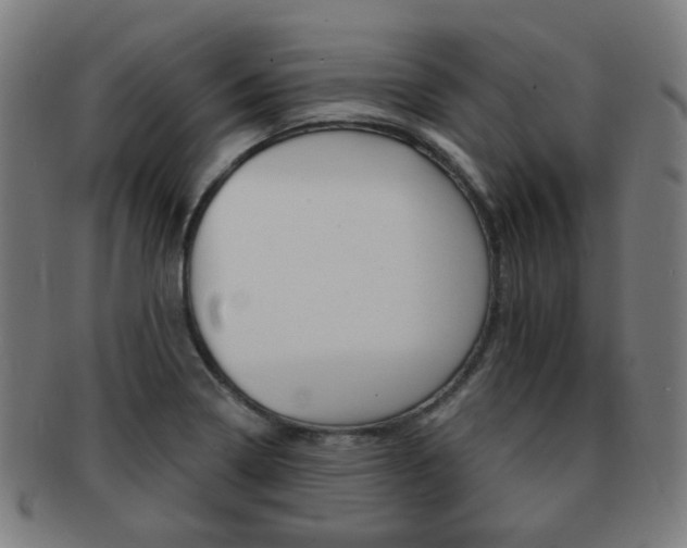 X0000091891322200709051037