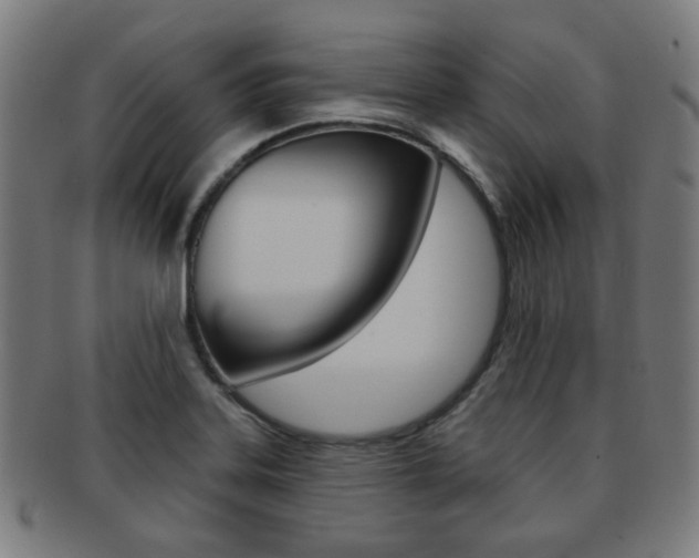 X0000091891323200709051037