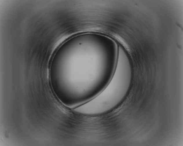X0000091891324200709051037
