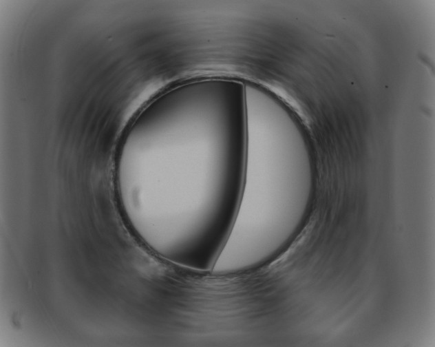 X0000091891325200709051037