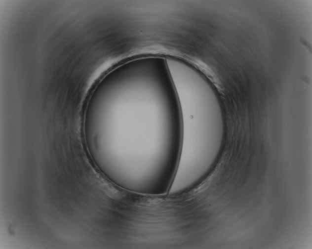 X0000091891326200709051037