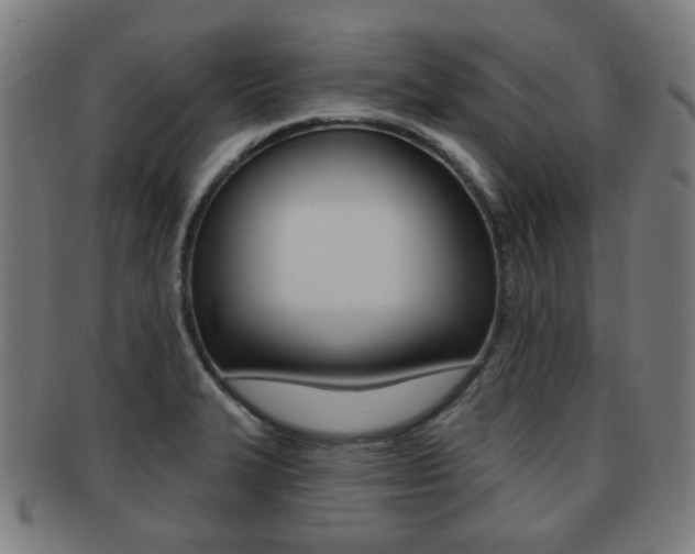 X0000091891327200709051037