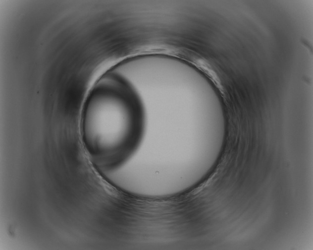X0000091891328200709051037