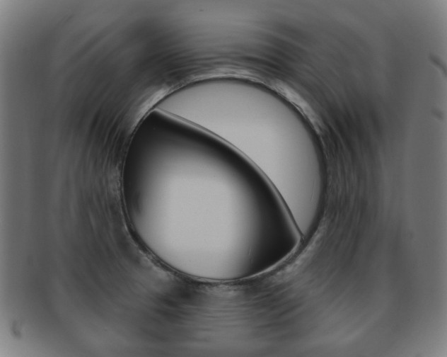 X0000091891329200709051037