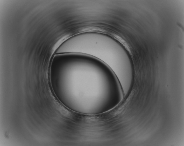 X0000091891330200709051037