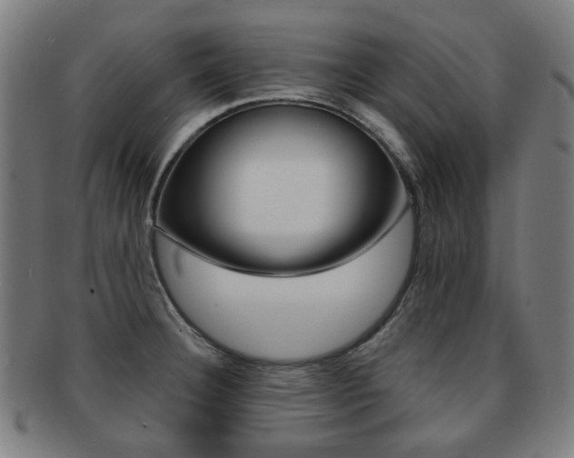 X0000091891332200709051037