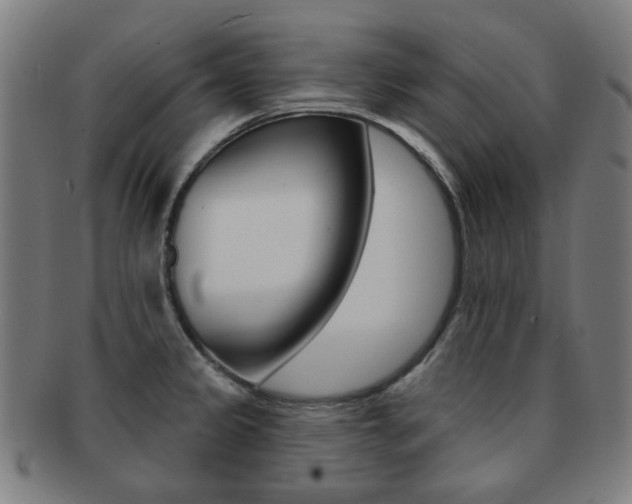 X0000091891333200709051037