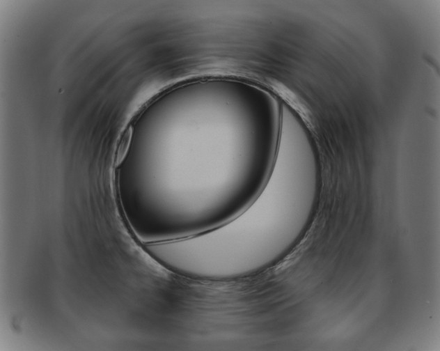 X0000091891334200709051037