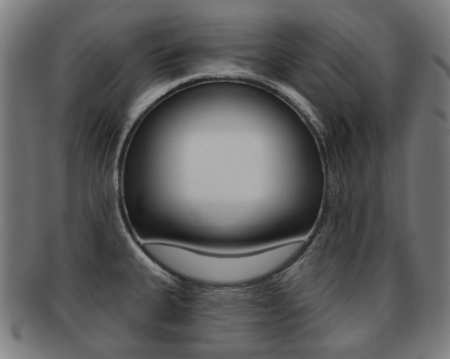 X0000091891335200709051037