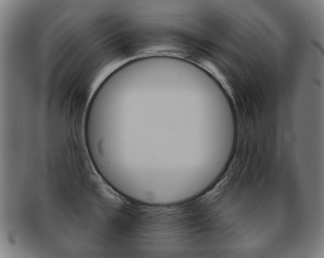X0000091891336200709051037