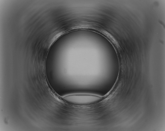 X0000091891337200709051037