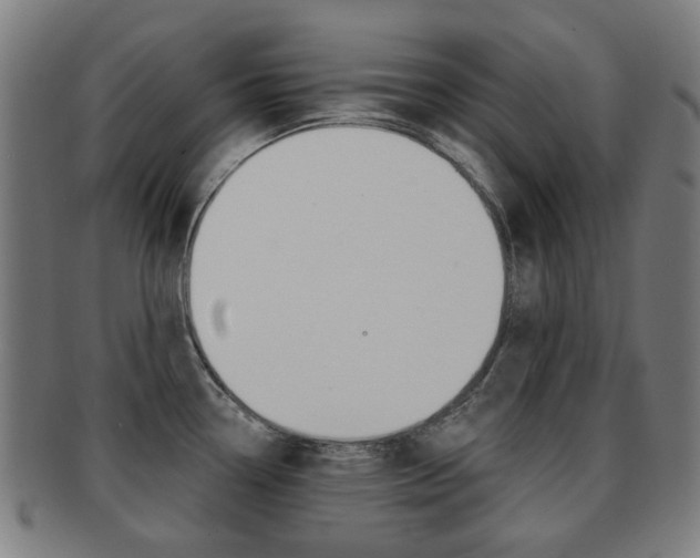 X0000091891338200709051037