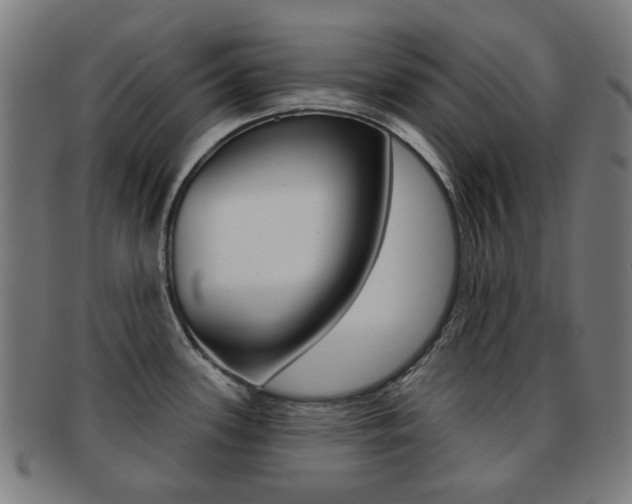 X0000091891339200709051037