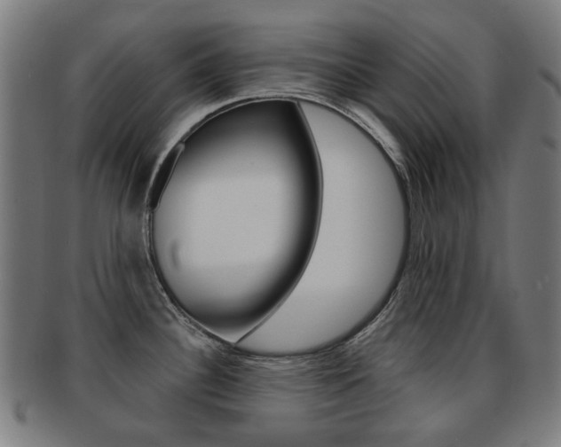 X0000091891340200709051037