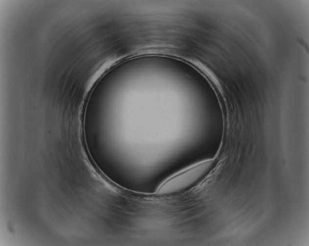 X0000091891341200709051037