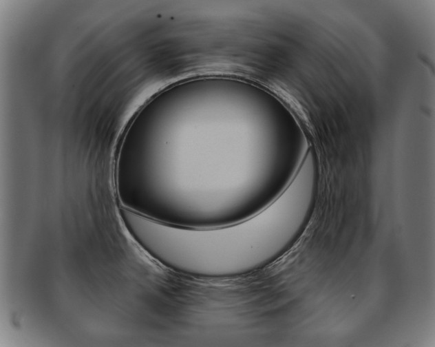 X0000091891342200709051037