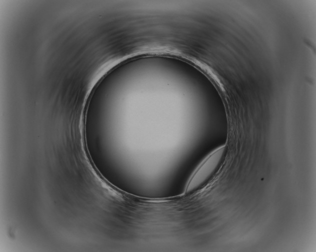 X0000091891343200709051037