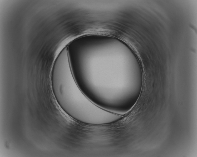 X0000091891344200709051037