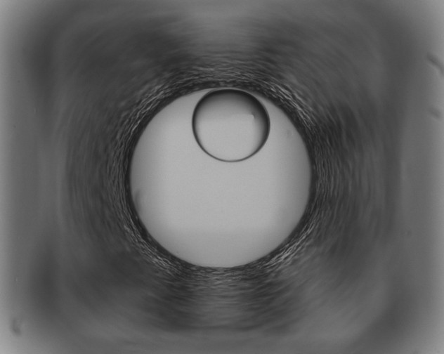 X0000091891345200709051037