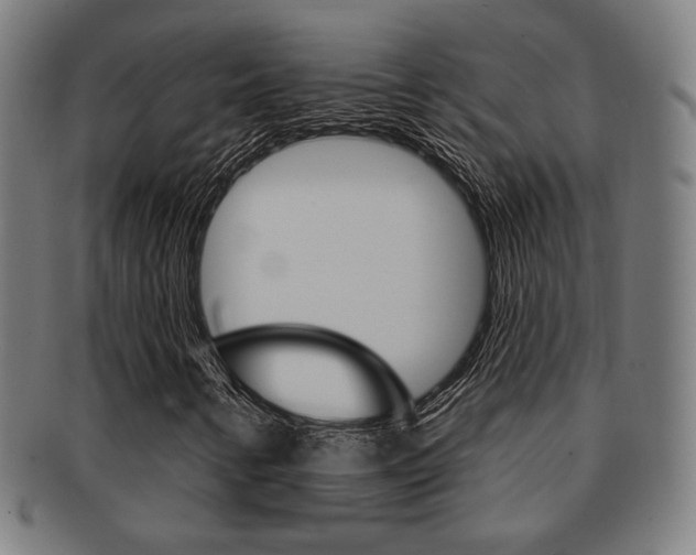 X0000091891346200709051037