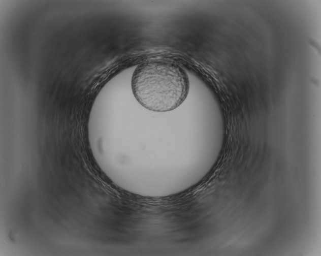 X0000091891349200709051037