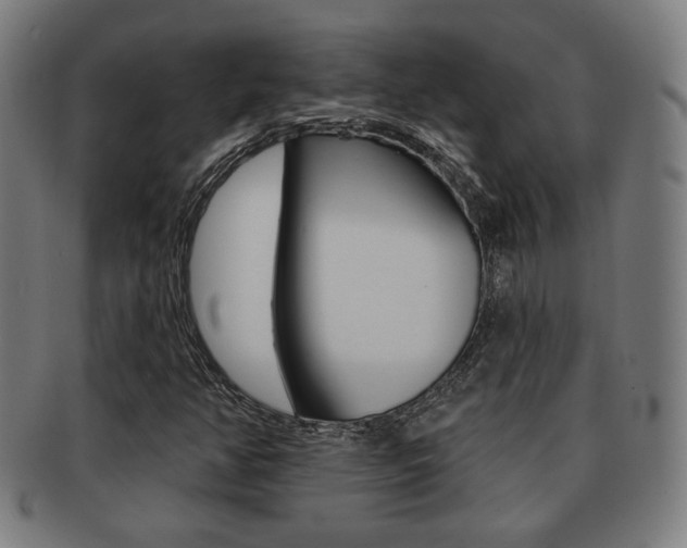 X0000091891350200709051037