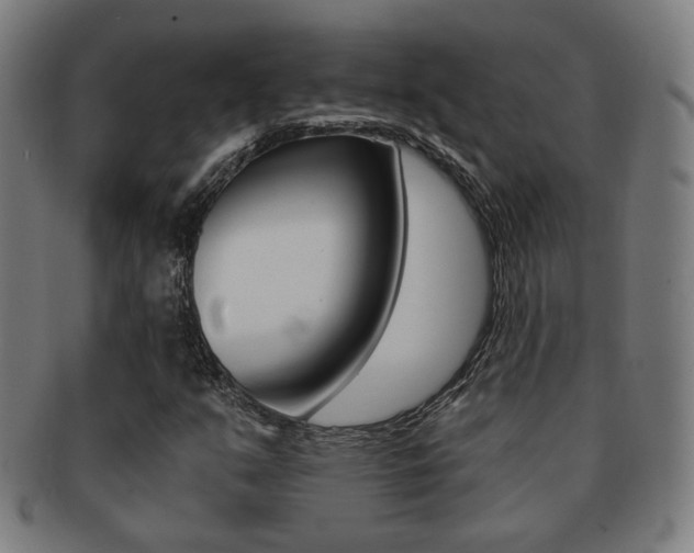X0000091891351200709051037
