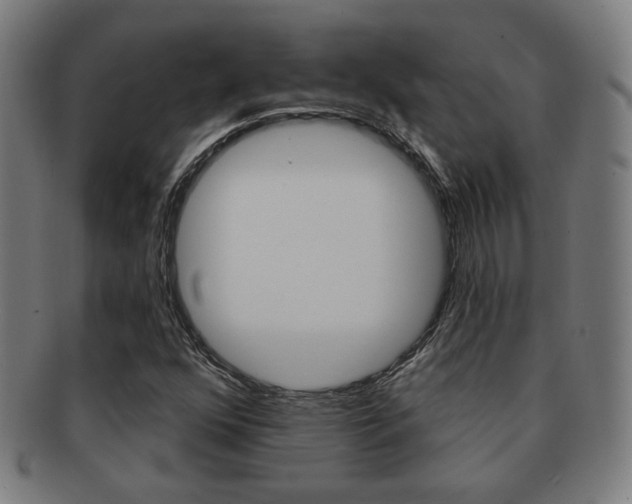 X0000091891352200709051037