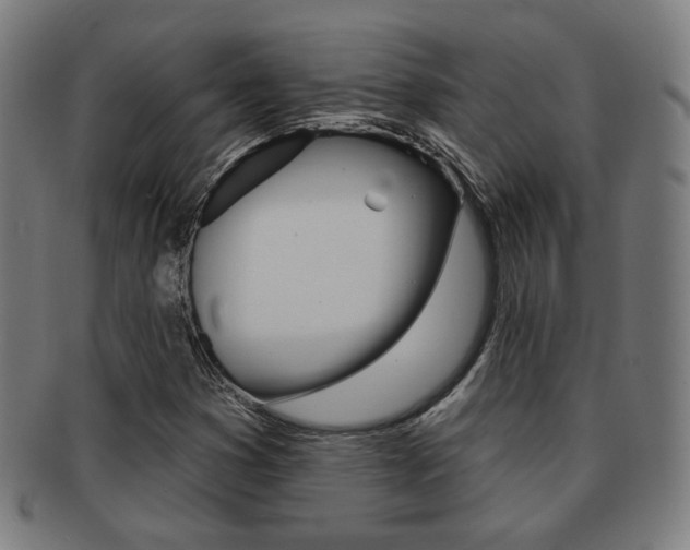X0000091891353200709051037