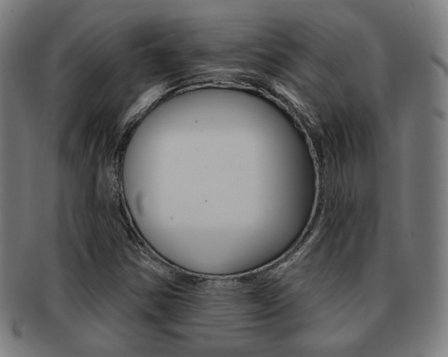 X0000091891354200709051037